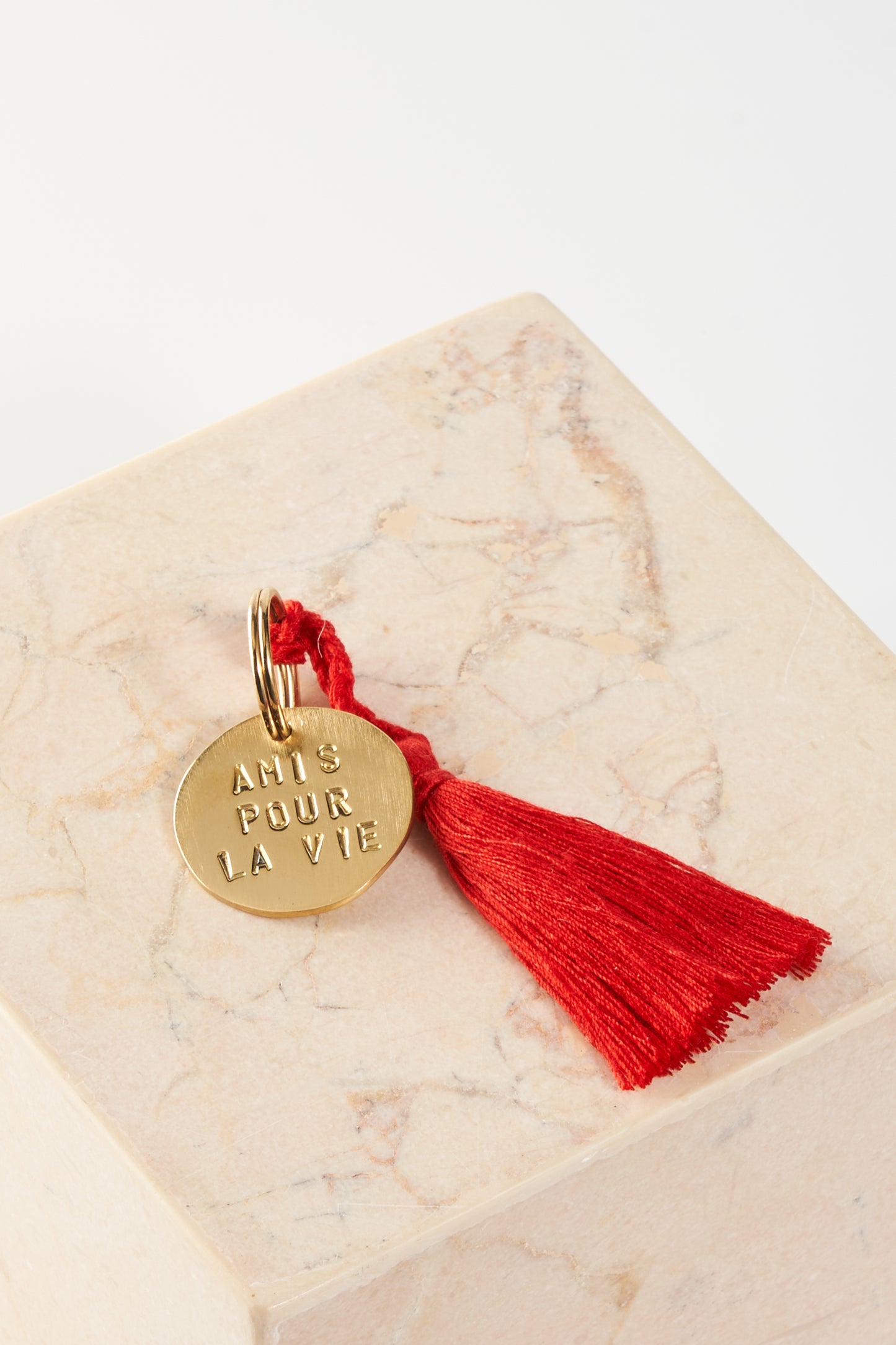 key tag - mini - amis pour la vie (charity project)