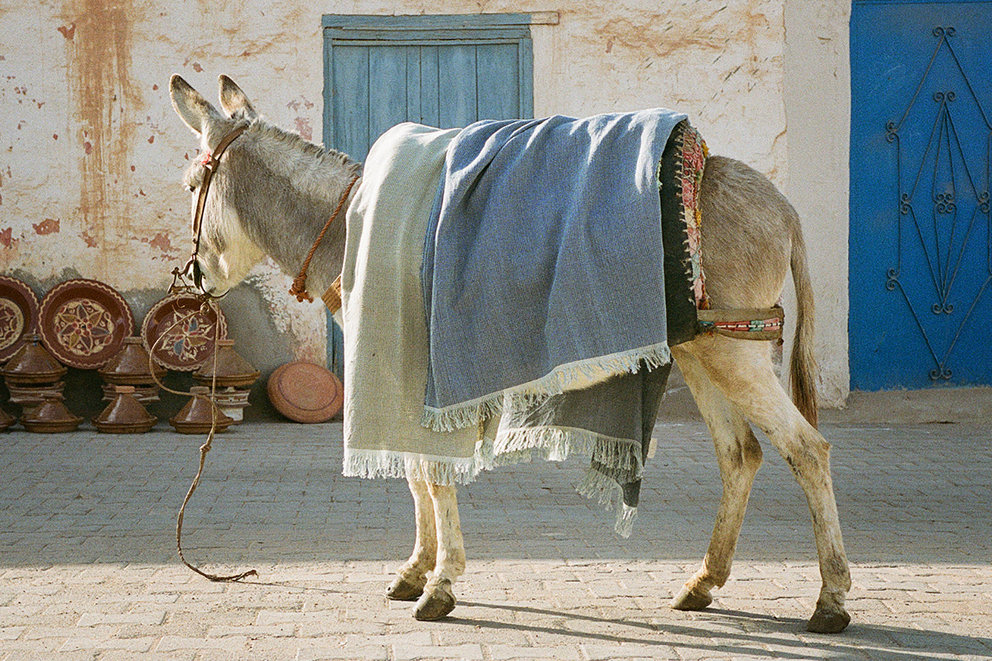 hamam towel - FAISSAL - eucalyptus