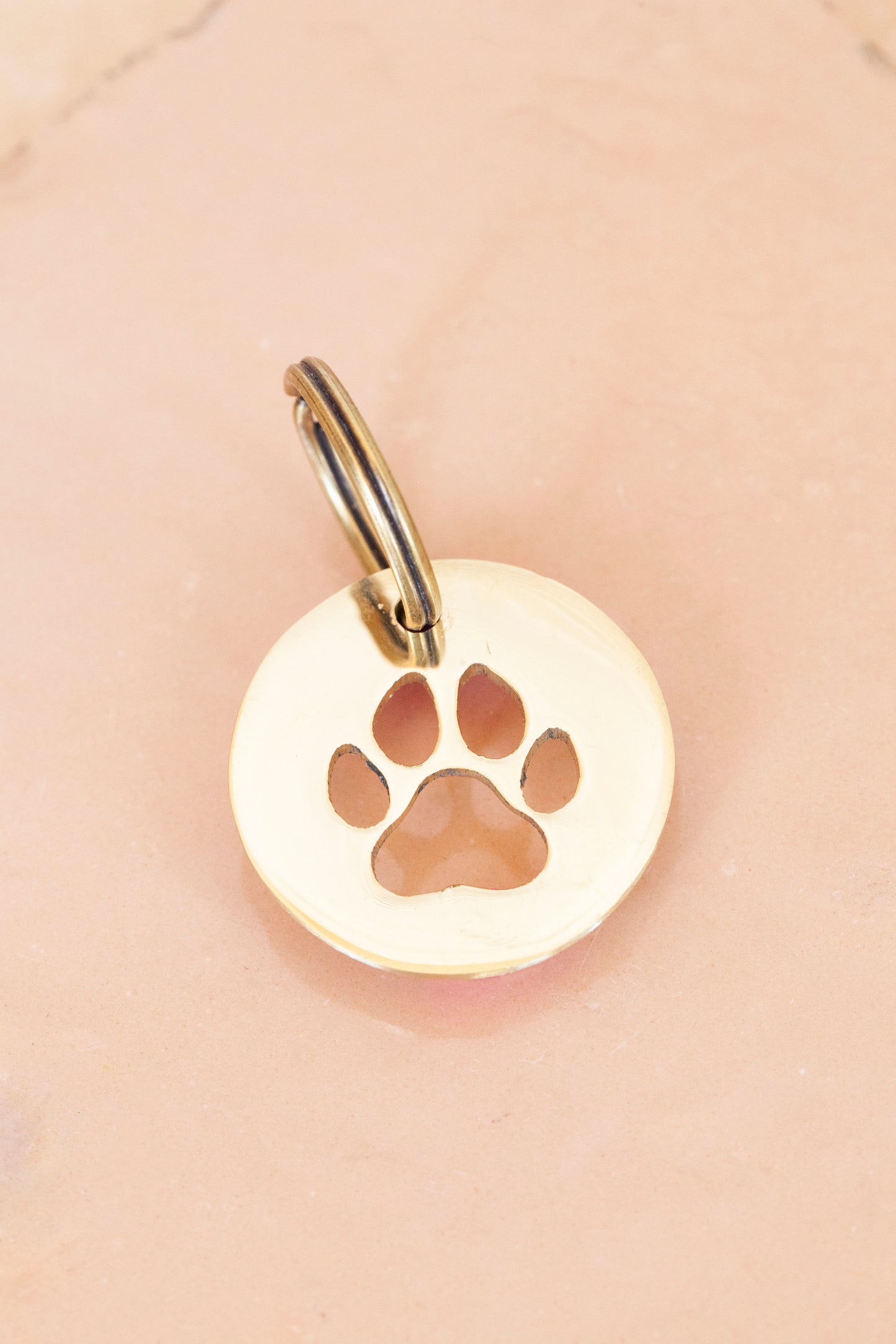 key tag - mini - paw