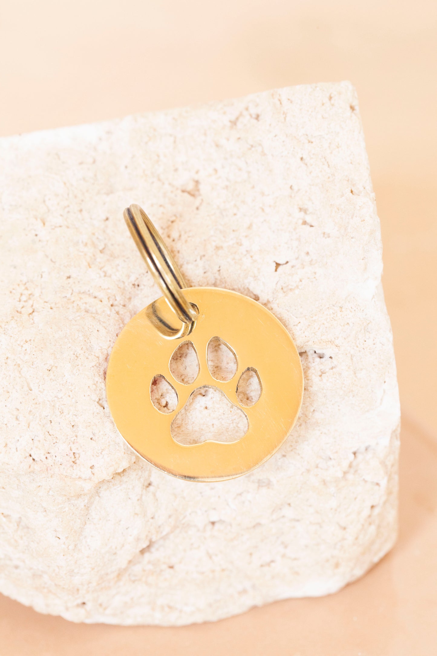 key tag - mini - paw