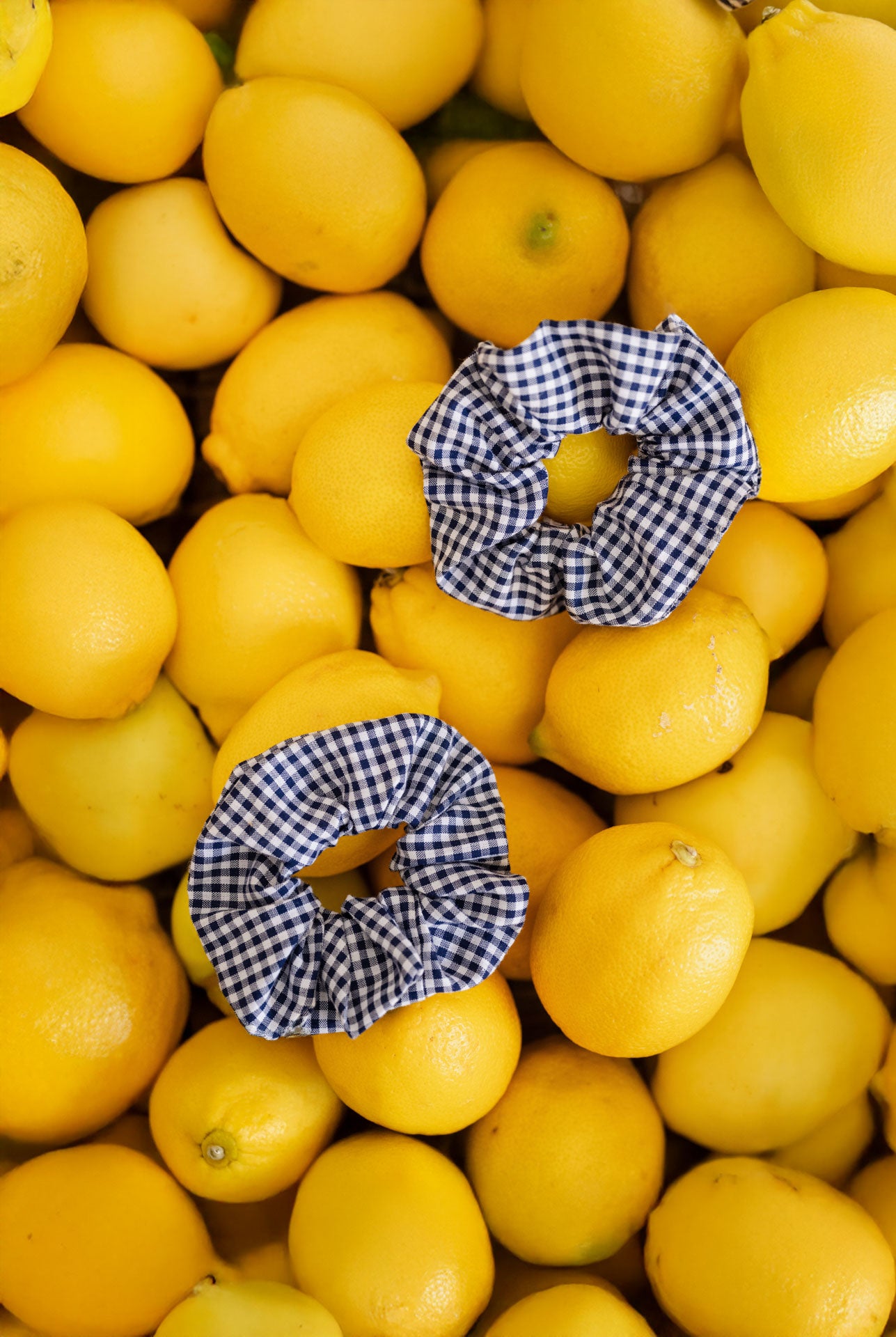 scrunchie - MEDINA cotton - checked marine